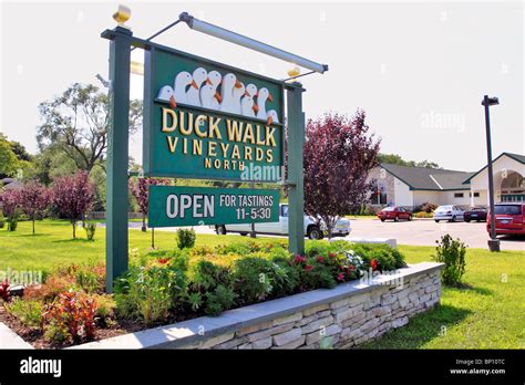 Duck Walk winery and vineyards, Peconic, north fork of eastern Long ...