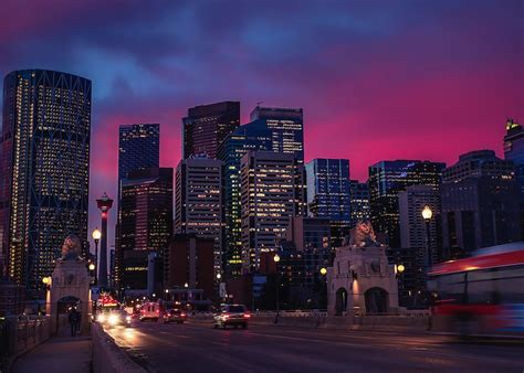 Alberta Tech Pathway | Waves Immigration