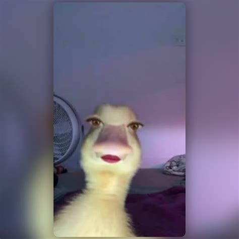 Funny Duck Selfie Filter by prishilla🔮 | Snapchat Lenses