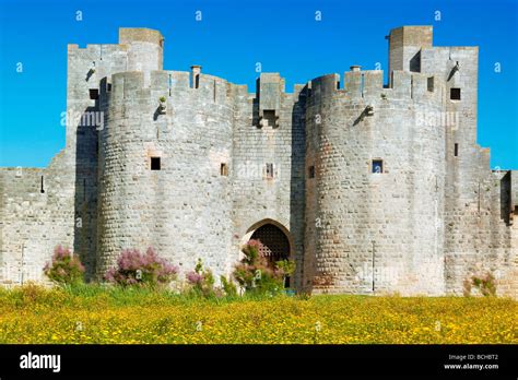 Langued hi-res stock photography and images - Alamy