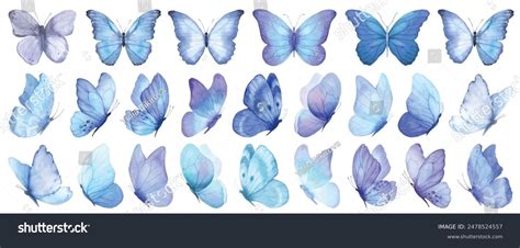 Butterfly Collection Watercolor Illustration Colorful Butterflies Stock ...