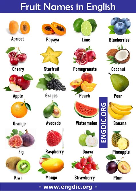 Fruits And Vegetables Pictures, Vegetable Pictures, Fruits And Veggies ...