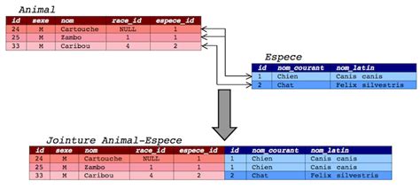 Jointures - Administrez vos bases de données avec MySQL • Tutoriels ...