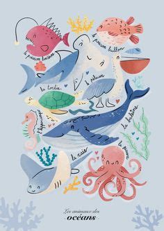 Affiche apprentissage animaux des Océans à personnaliser in 2025 | Cute ...