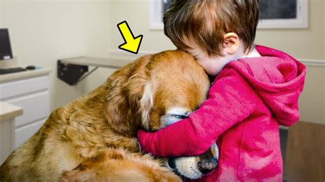 Un Garçon Sauve Un Chien Avec Une Tumeur Et Une Histoire Réconfortante ...