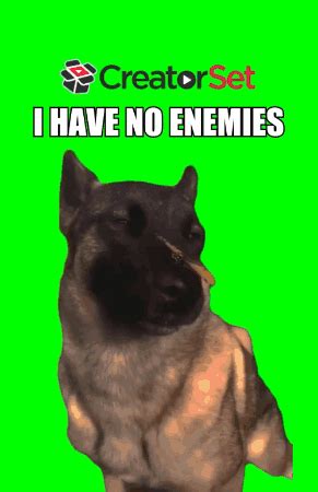 Happy Doggo I Have No Enemies GIF | GIFDB.com