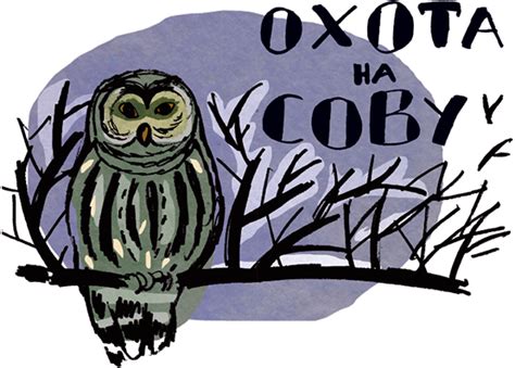 Охота на сову. Рассказ для детей.