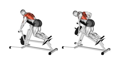 Supported Dumbbell Row