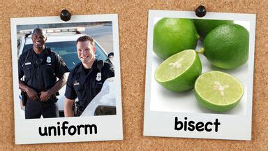 Prank Definition & Meaning | YourDictionary