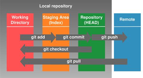 Workshop sobre Git / Github 2025 - 5 Comandos usados en Github y RStudio