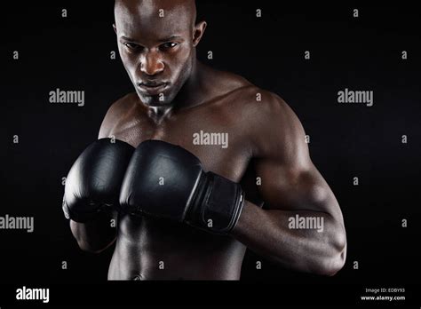 Top Strongest Boxers at Cooper Betts blog