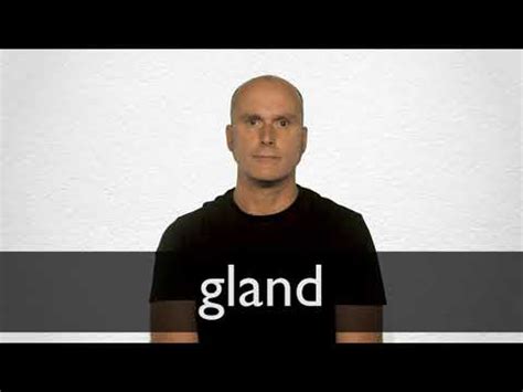 GLAND definition in American English | Collins English Dictionary