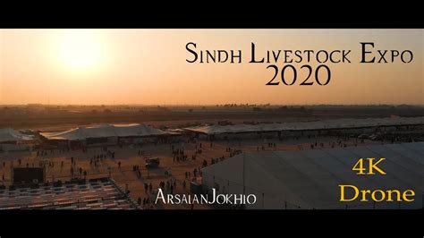 Expo 2020 Livestock & Fisheries Department Government of Sindh ...