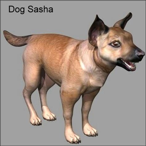 Dog Canine 3d Model