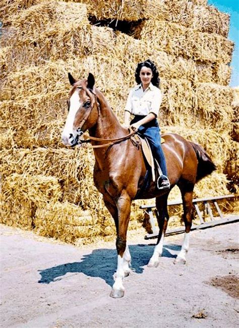 Elizabeth Taylor | Horse love, Horses, Horse photos