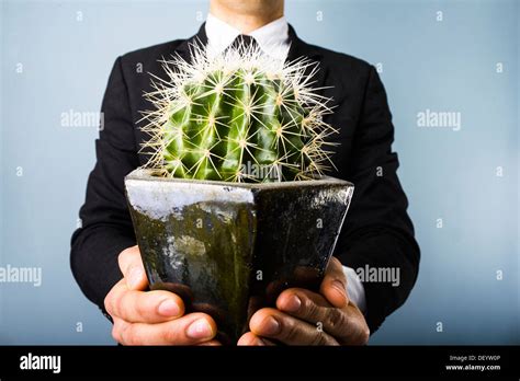 Young businessman offering a cactus Stock Photo - Alamy