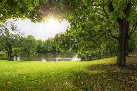 Het park - Blijf Groep