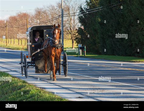 Amish horse and carriage Stock Photo - Alamy