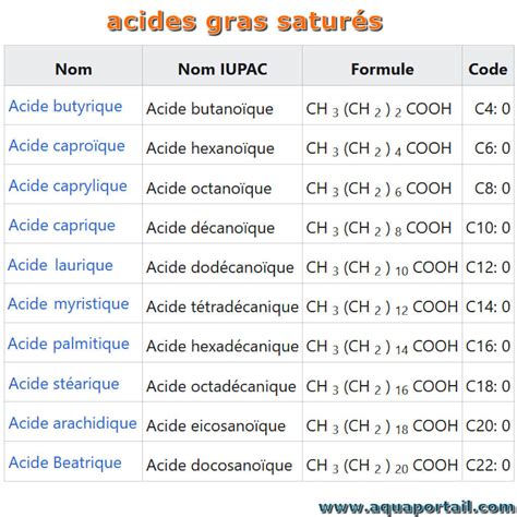 Acides gras saturés : définition et explications
