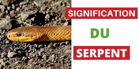 Interprétation des rêves de serpents : mythes et significations ...