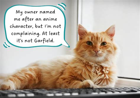 300+ Kawaii Anime Cat Names for Your Neko | Meows 'n' Paws
