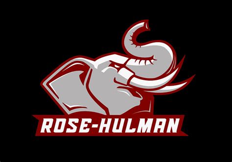 Rose Hulman Football Digital Art by Delano Delwyn - Pixels