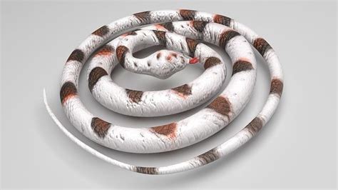 Rubber Snake 3D model | CGTrader