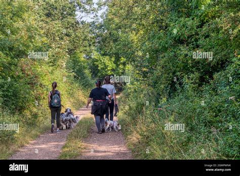 British english walking walkers hi-res stock photography and images - Alamy