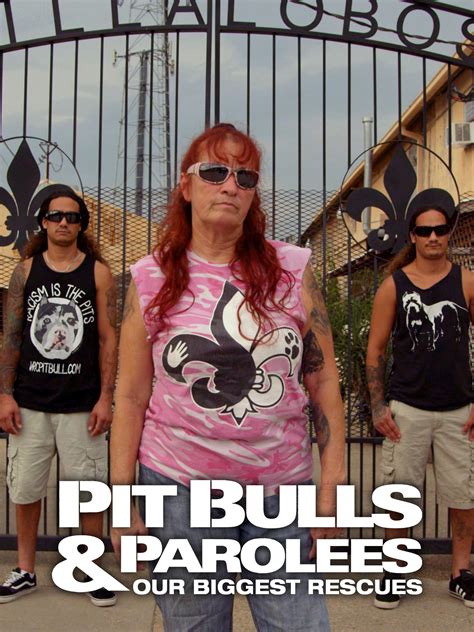 Pit Bulls & Parolees: Our Biggest Rescues - Rotten Tomatoes