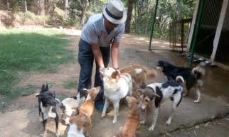 Saving Animals | Working for Animals