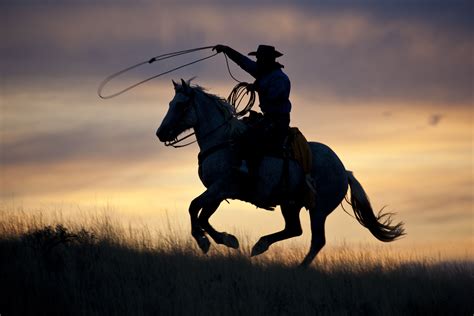 Running Cowboy and his Horse with rope out and flying, Silhouetted ...