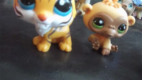 mais que sont devenues les nouveaux pet shop