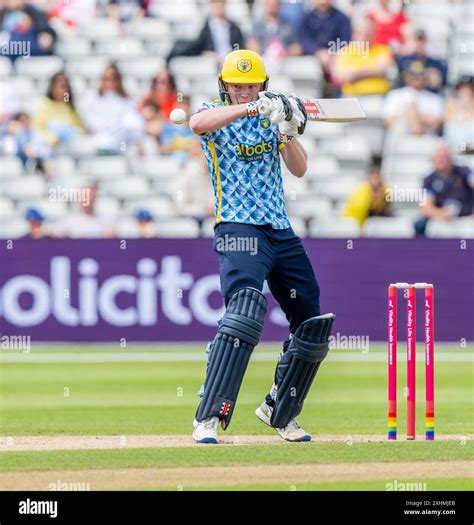 Falcons hi-res stock photography and images - Alamy