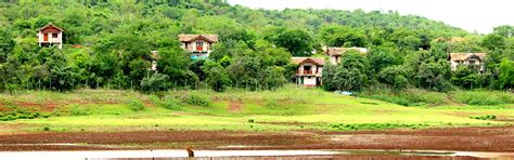 Best Jungle Camps in & around Hyderabad | Trawell.in Blog