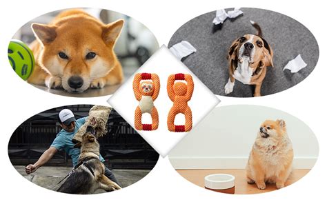 Jouet Chien Jouets pour Chiens Indestructible Jouet Chiot Jouets ...