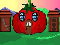 G2L Mr Cat Rescue Html5 Walkthrough