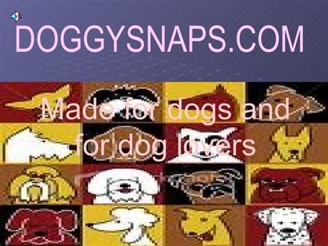 doggysnaps.com