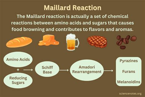 Maillard Reaction