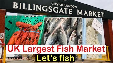 BILLINGSGATE FISH MARKET || UK LARGEST #Billingsgatefishmarket - YouTube