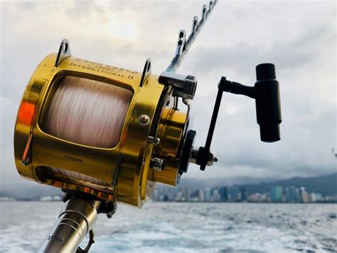 The Common Types of Fishing Reels