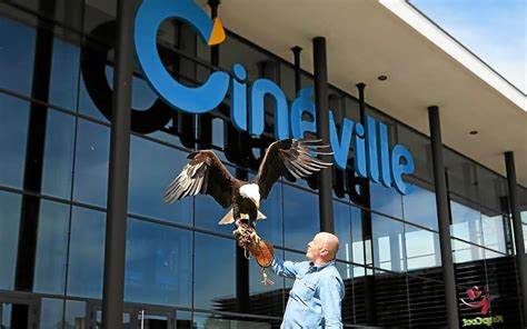 À Quimper, un aigle invité à l’avant-première de « Ciels de légendes ...