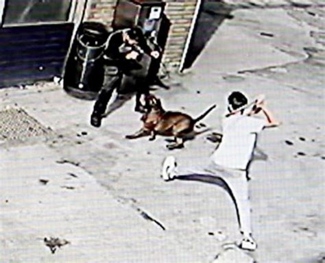 New camera angle shows moment XL Bully dog attacked three people including girl, 11