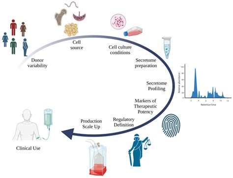 IJMS | Free Full-Text | Secretome as a Tool to Treat Neurological ...