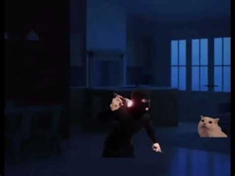 Florida Man Shaves Cat Head