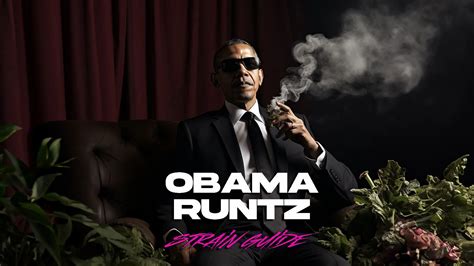 OBAMA RUNTZ - Hikei Dispensary San Diego and La Mesa, CA