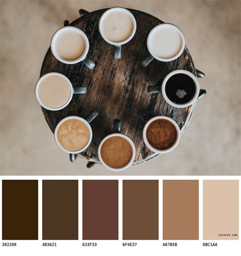 Cappuccino color palettes - colorxs.com
