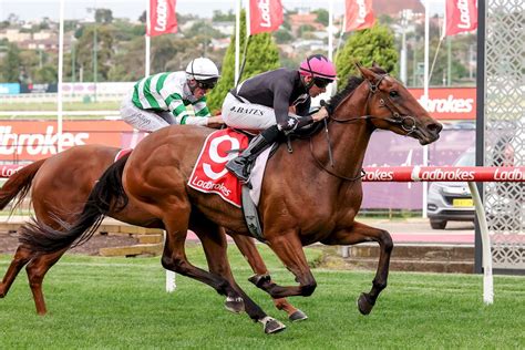 Universally shows her potential! - DREAM