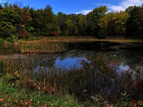 Colonie Town Park | New York Trailheads