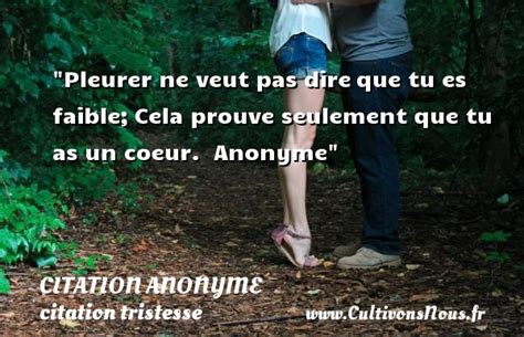 Gratuit [532] Citation Triste Qui Fait Pleurer - Memedolci