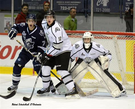 Les Olympiques déclassés - Les Olympiques de Gatineau